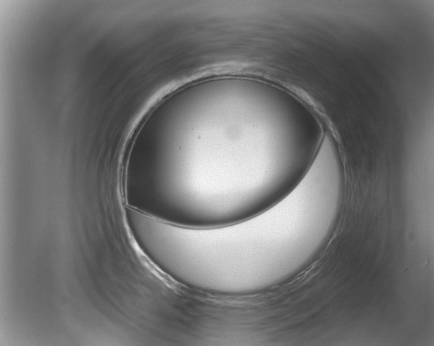 X0000081571342200701151016