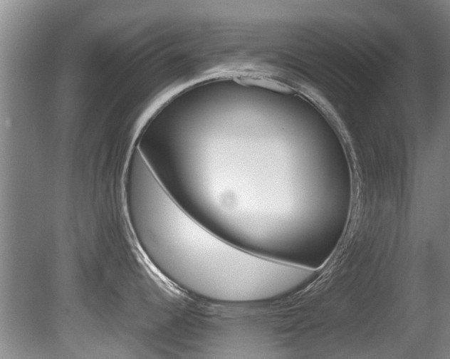 X0000081571344200701151016