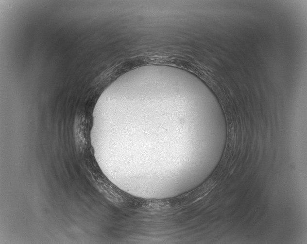 X0000081571346200701151015