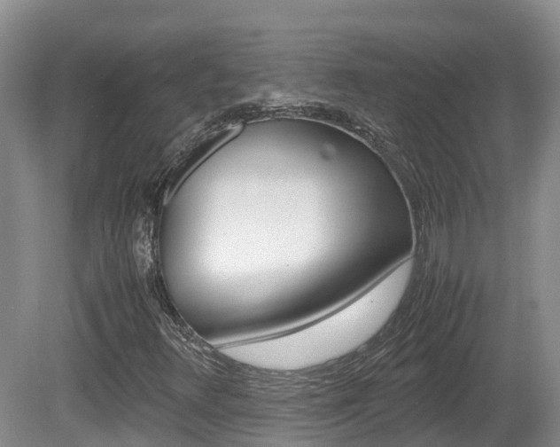 X0000081571348200701151015