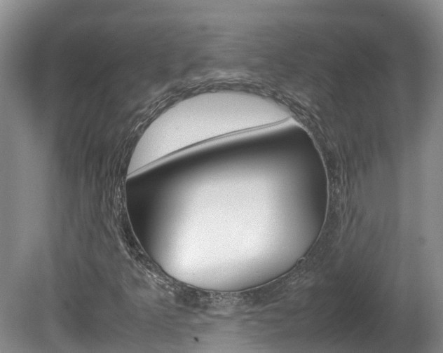 X0000081571349200701151015