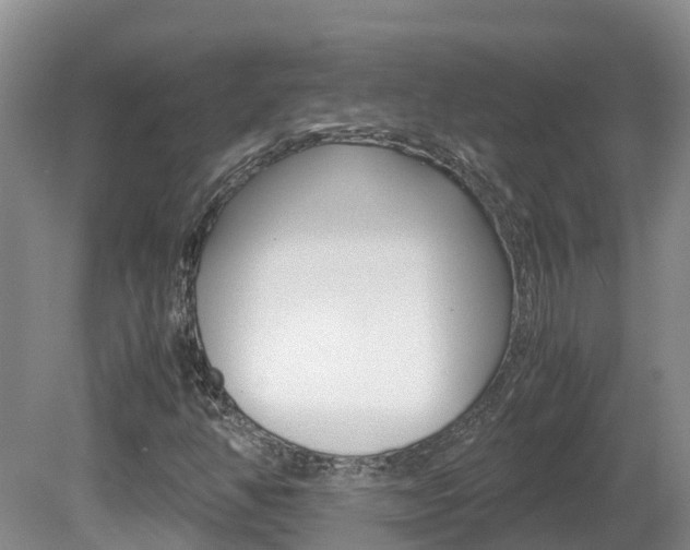 X0000081571350200701151015