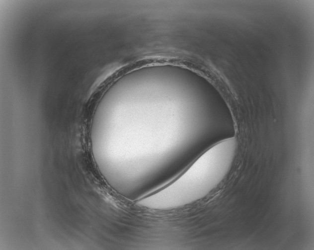 X0000081571352200701151015