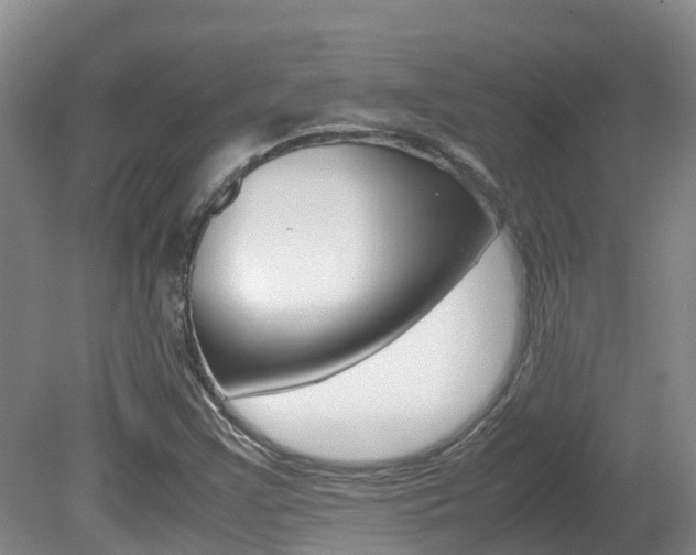 X0000081571355200701151015