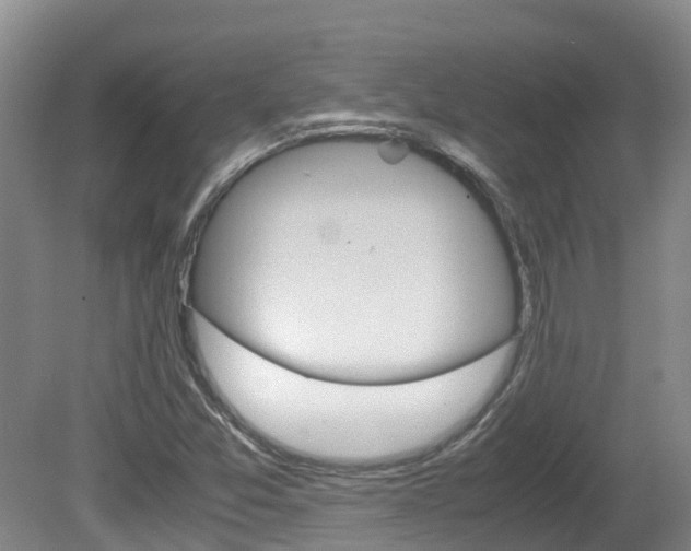 X0000081571357200701151015