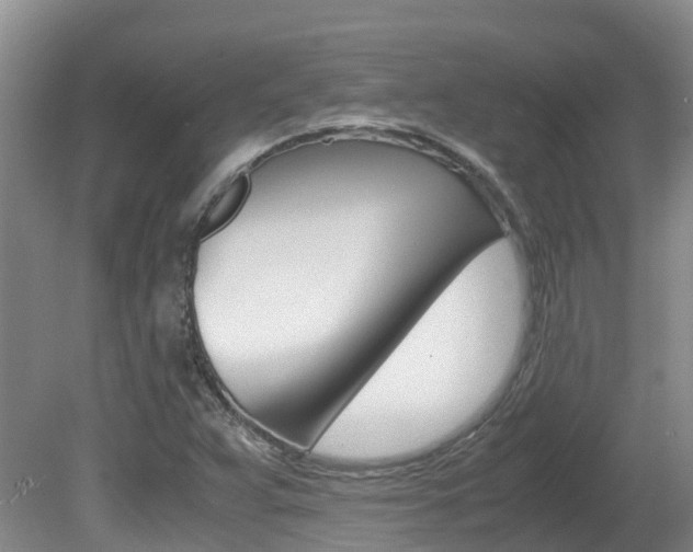 X0000081571359200701151015