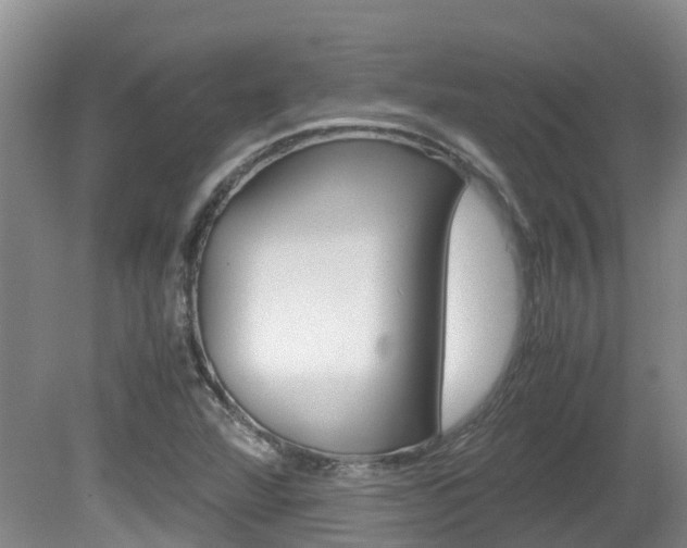 X0000081571360200701151015