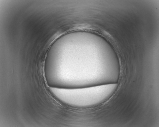 X0000081571361200701151015