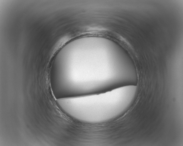X0000081571362200701151015