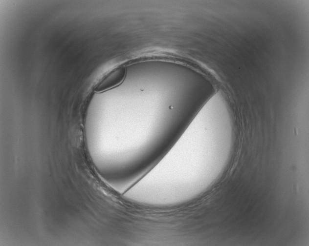 X0000081571363200701151015