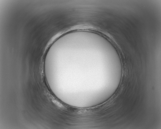 X0000081571366200701151015