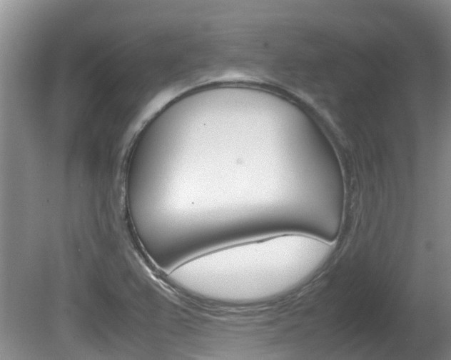 X0000081571367200701151015