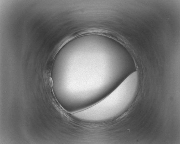 X0000081571369200701151015