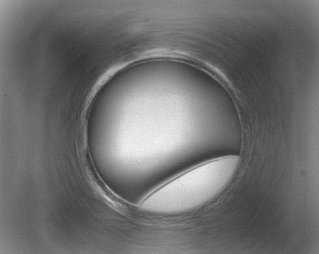 X0000081571371200701151015