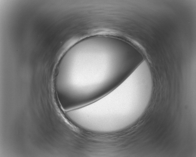 X0000081571375200701151014