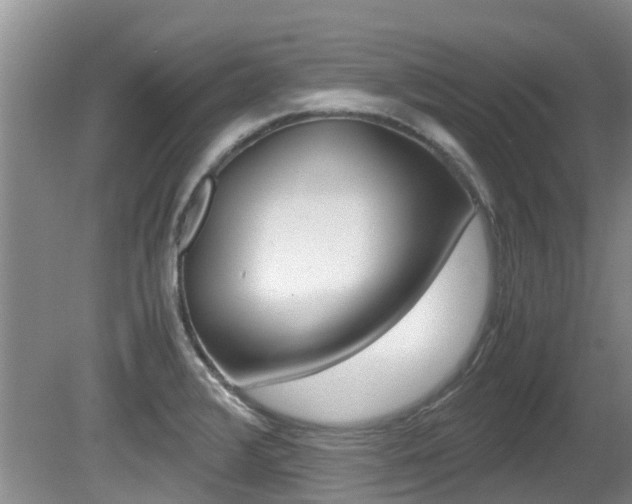 X0000081571376200701151014