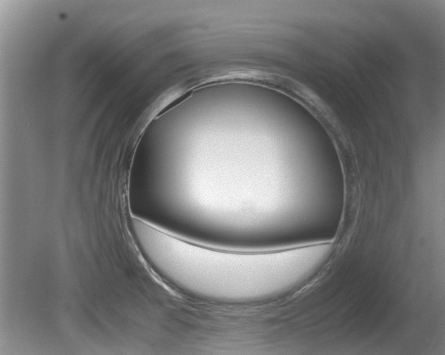 X0000081571377200701151014