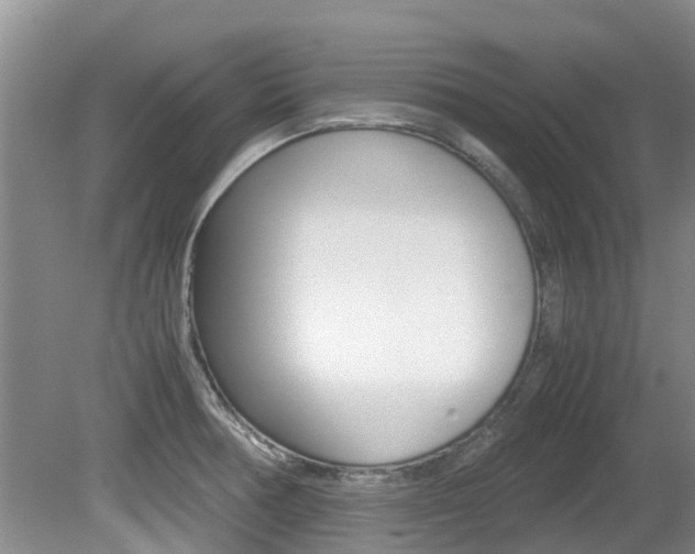 X0000081571378200701151014
