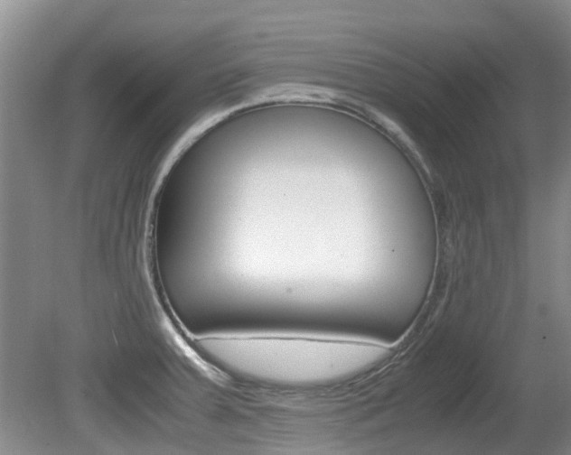X0000081571379200701151014
