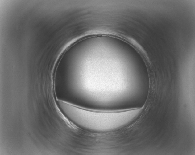 X0000081571380200701151014