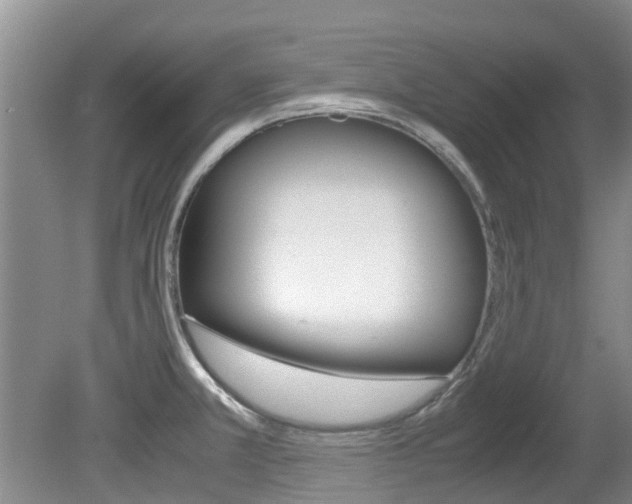 X0000081571381200701151014