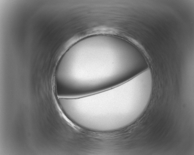 X0000081571383200701151014