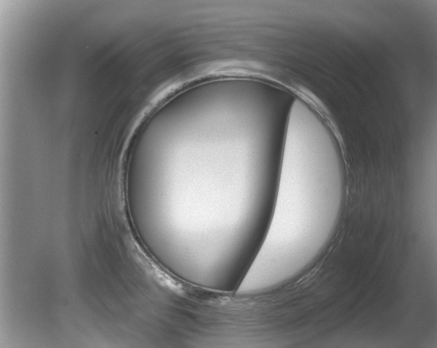 X0000081571384200701151014