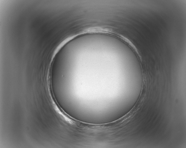 X0000081571387200701151014