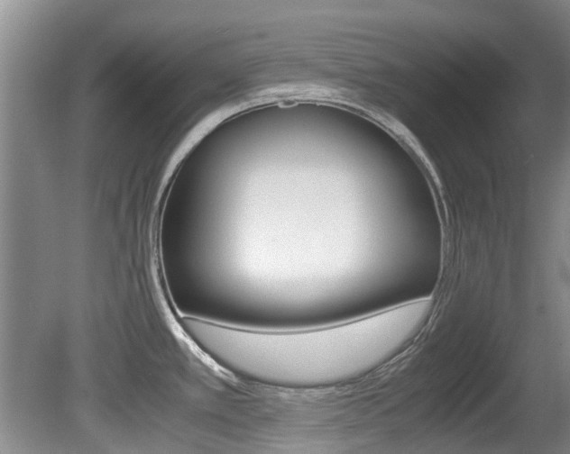 X0000081571389200701151014
