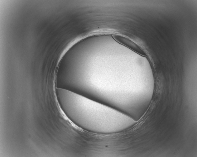 X0000081571390200701151014
