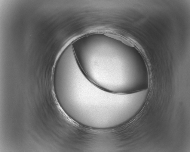 X0000081571392200701151014