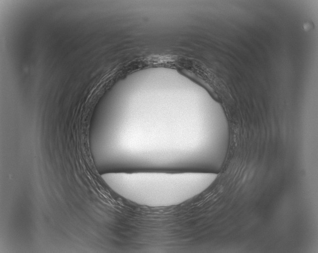 X0000081571393200701151013