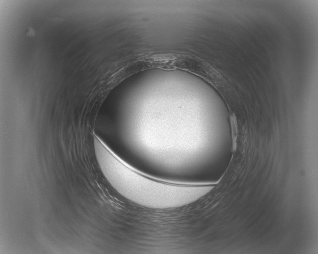 X0000081571394200701151013