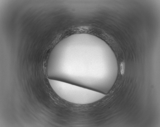 X0000081571395200701151013