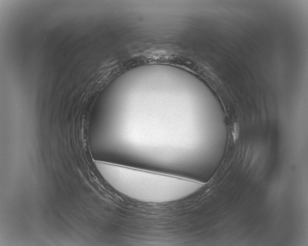 X0000081571396200701151013