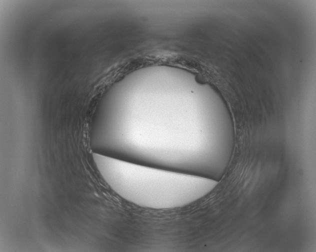 X0000081571397200701151013