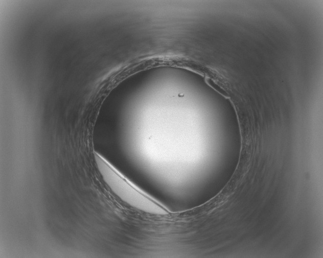 X0000081571398200701151013
