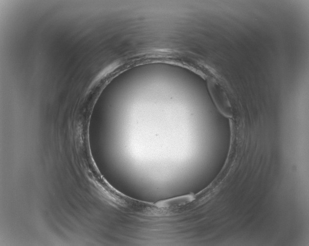 X0000081571402200701151014
