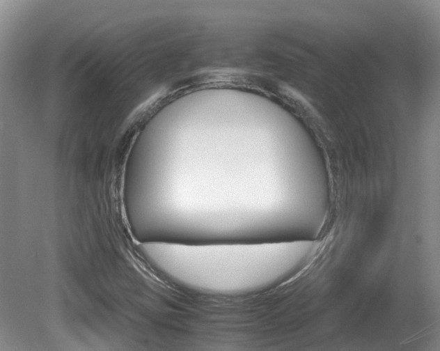 X0000081571403200701151014