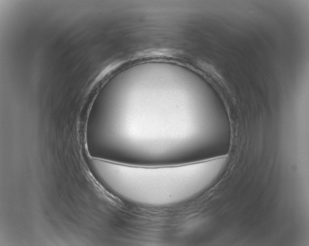 X0000081571404200701151014