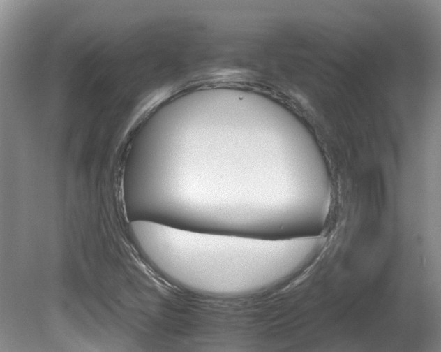 X0000081571405200701151014
