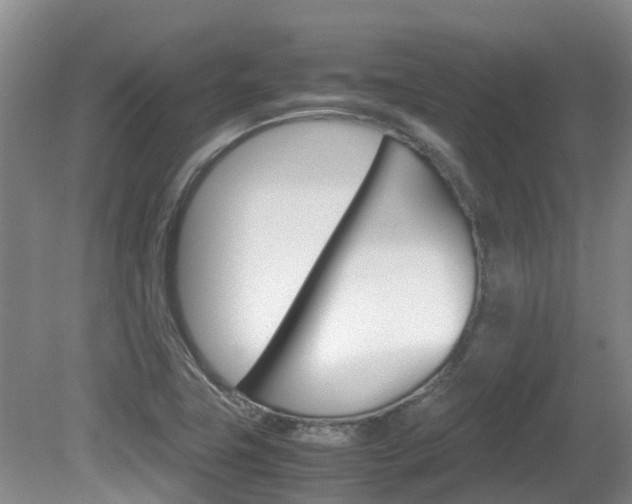 X0000081571411200701151014