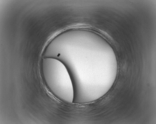 X0000081571413200701151014