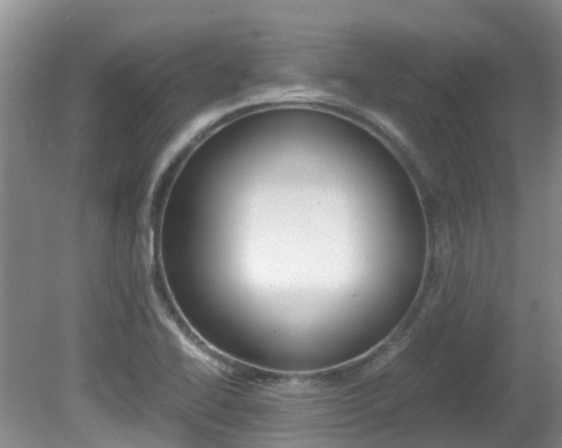 X0000081571414200701151014