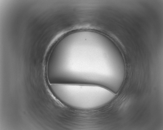 X0000081571416200701151014