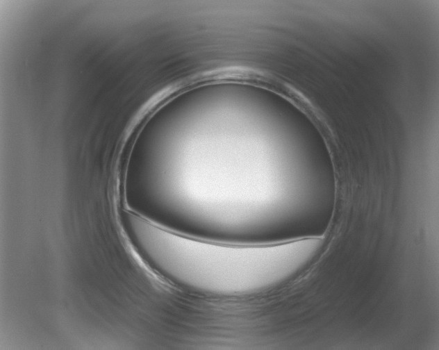 X0000081571418200701151014