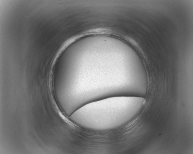X0000081571421200701151014