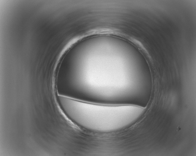 X0000081571424200701151014