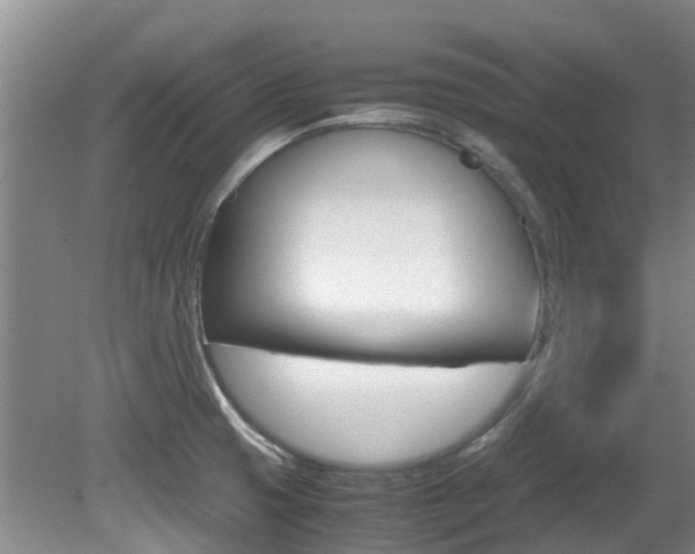 X0000081571425200701151014