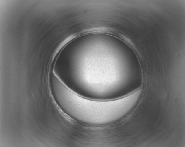 X0000081571426200701151014